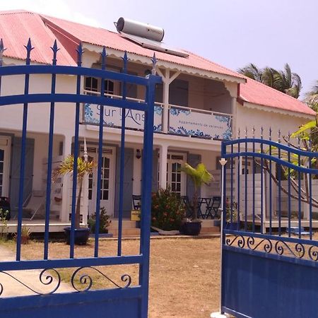 Villa Sur L'Anse Terre-De-Haut Exterior foto